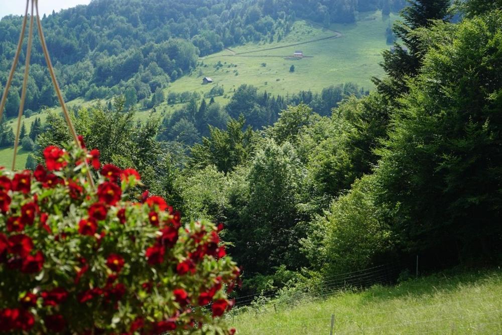 Gorczanskie Siedlisko Ochotnica Górna المظهر الخارجي الصورة
